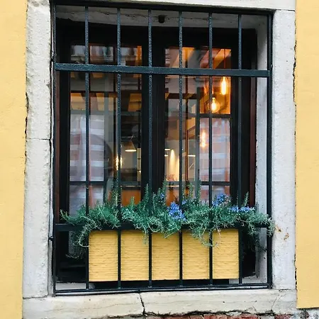 La Furlanina Apartment